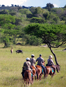 Uganda-Uganda-Lake Mburo Wildlife Horse Safari